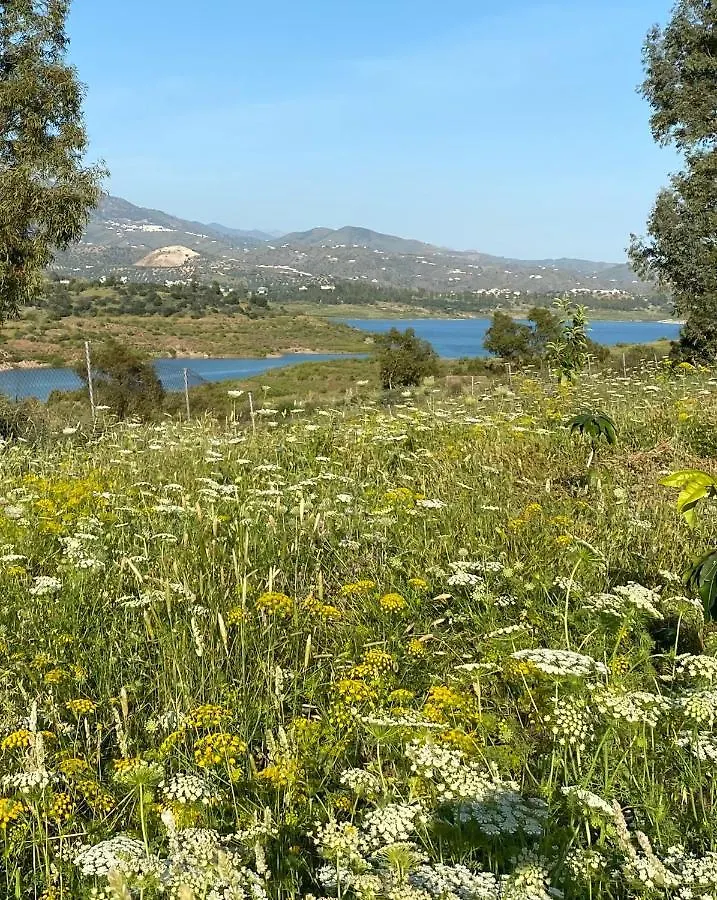 Σπίτι διακοπών La Rustica En Vinuela, Piscina Privada Βίλα Ισπανία
